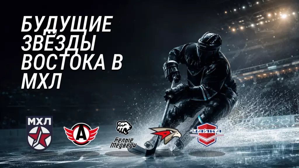 Хоккейная иллюстрация к новости: МХЛ назвала перспективных игроков 2010 года на Востоке