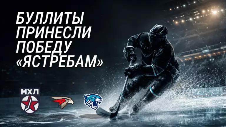 Хоккейная иллюстрация к новости: «Омские Ястребы» победили «Снежных Барсов» по буллитам — 2:1