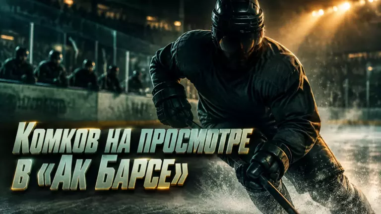 Хоккейная иллюстрация к новости: По данным источника, «Ак Барс» заключил пробный контракт с Денисом Комковым