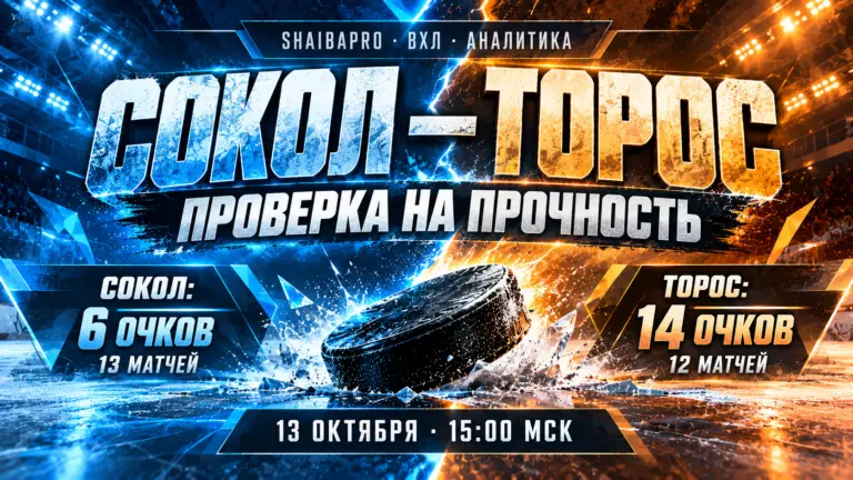 Изображение к новости: «Сокол» прервал серию поражений, но остался на дне ВХЛ: почему матч с «Торосом» станет проверкой на прочность